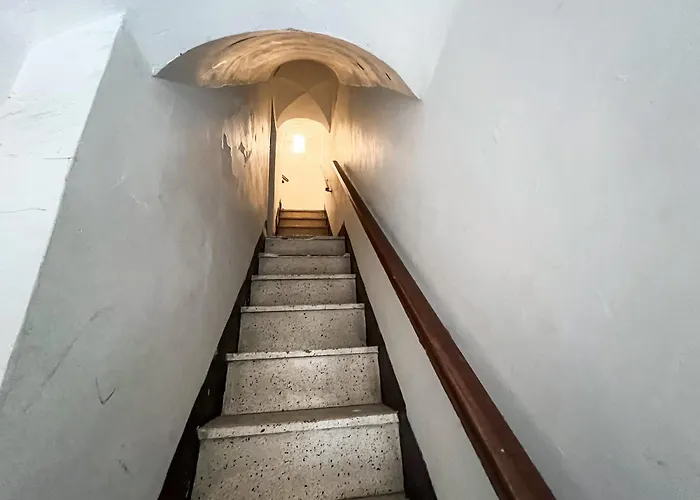 Cefalhome - Veterani